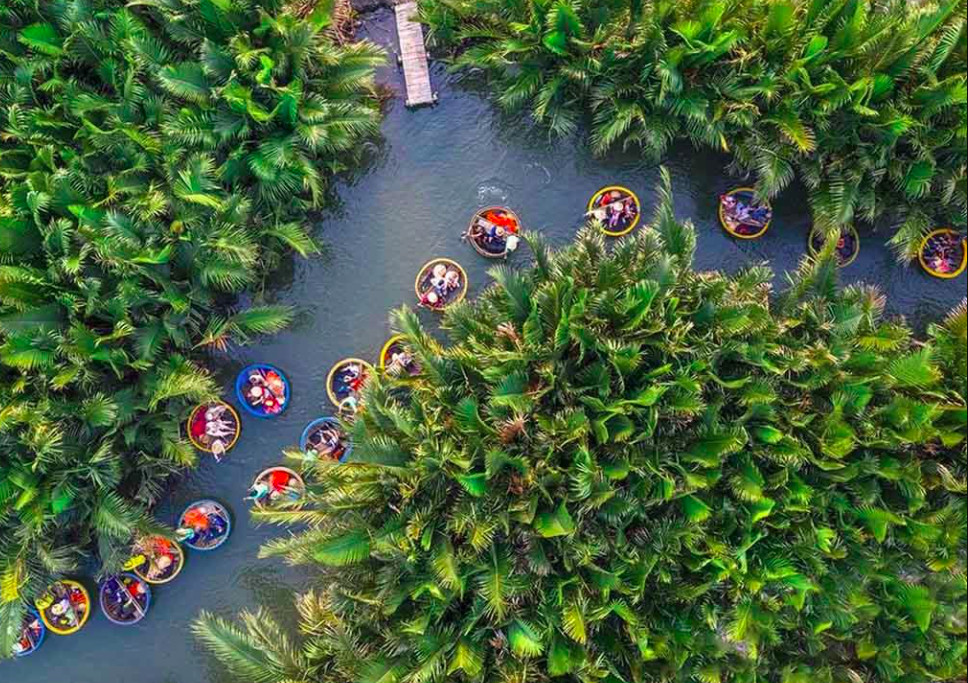 Vé Rừng Dừa Bảy Mẫu