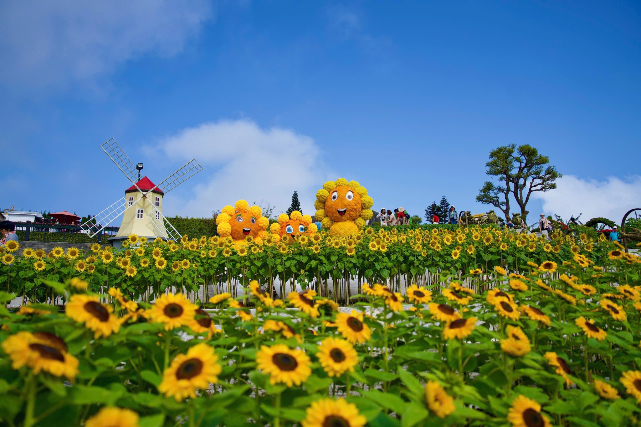 Vườn hoa Le Jardin d’Amour Bà Nà Hills